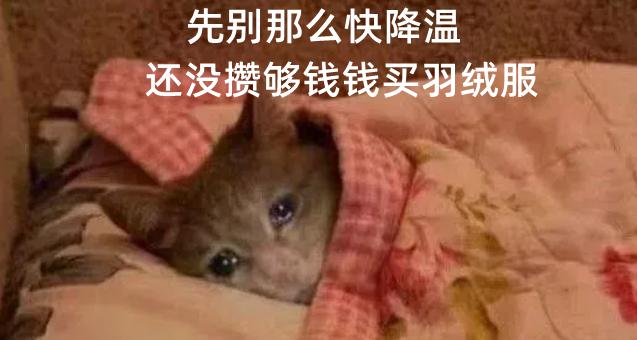 河南大部地区再迎大风、降温和降雨天气!这份安全指南请收下