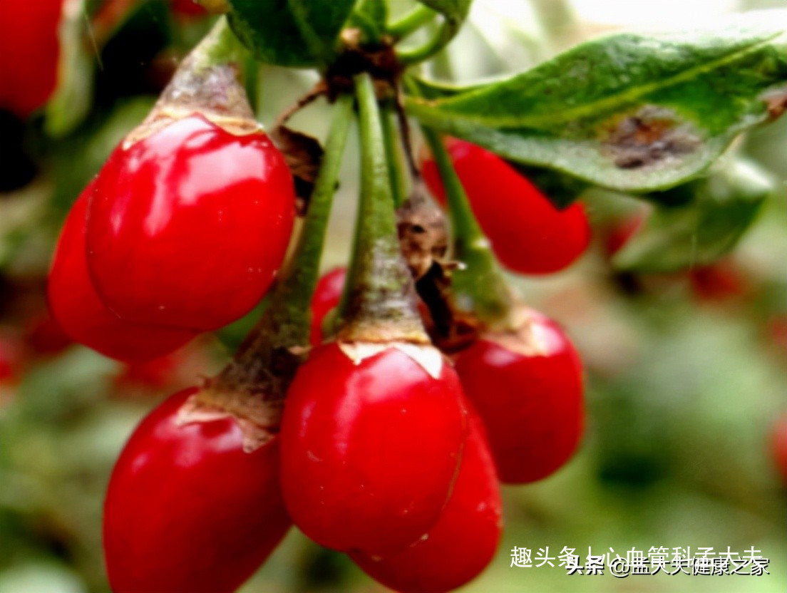 糖尿病、中医消渴症？中药也能辅助降糖哦，这些中药记得收藏