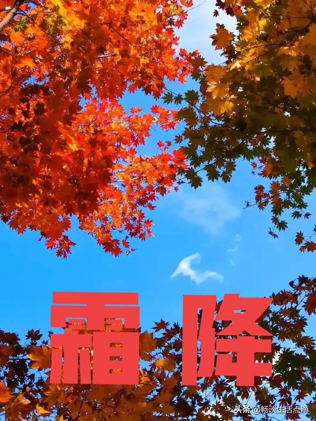 天气预报:九月霜降无霜打,十月霜降霜打霜,啥意思?有什么预兆