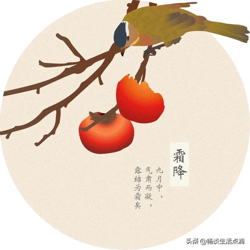 天气预报:九月霜降无霜打,十月霜降霜打霜,啥意思?有什么预兆