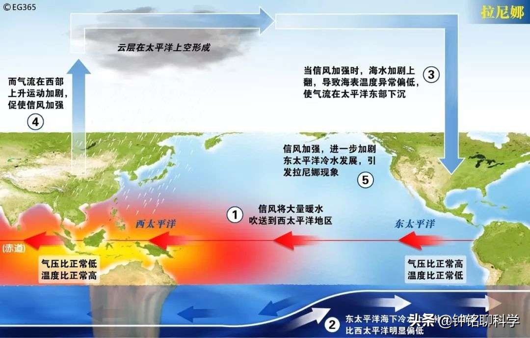 直逼30℃!中美专家警告:今冬或有极端天气,为何南方气温却回升