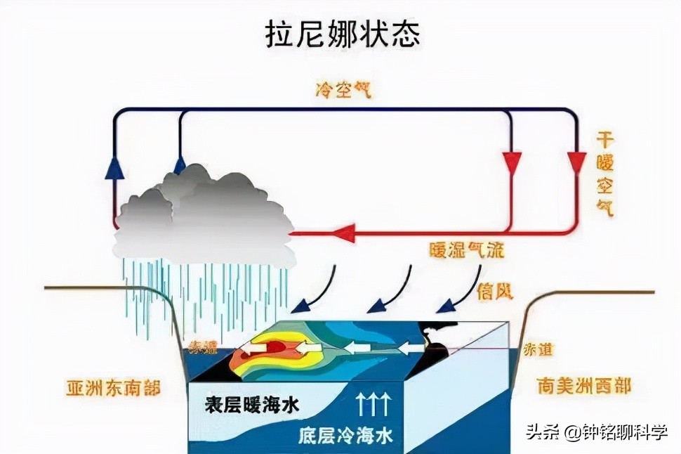 直逼30℃!中美专家警告:今冬或有极端天气,为何南方气温却回升