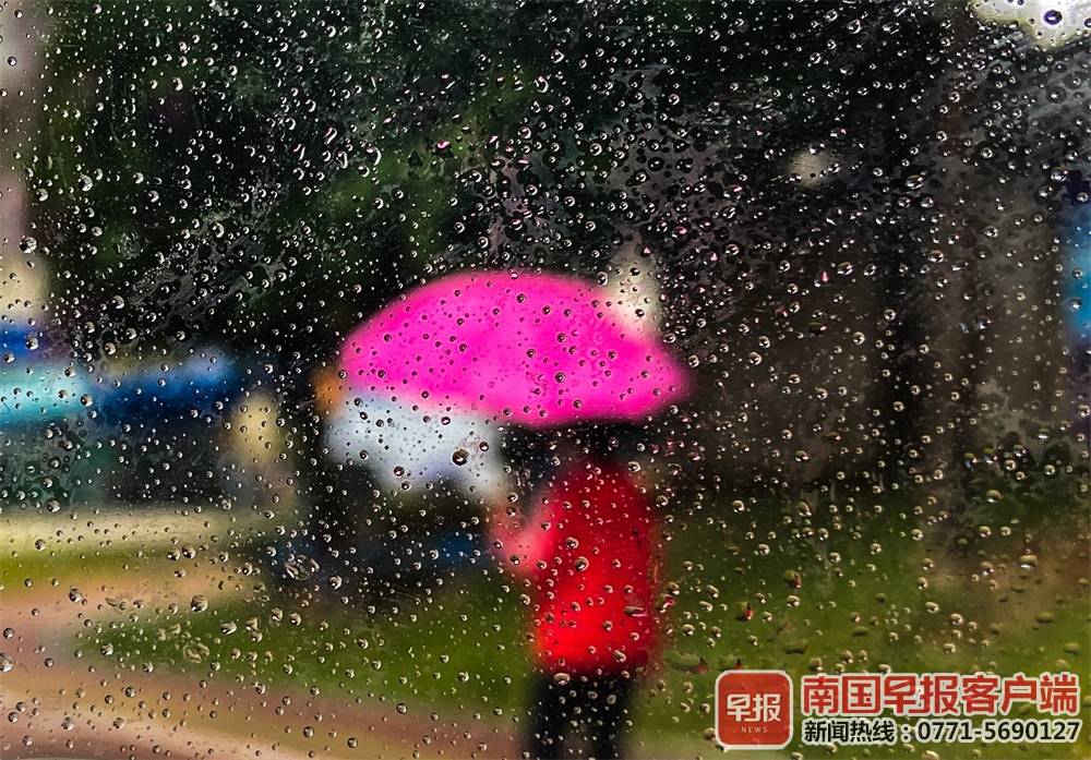 记得带伞！受冷空气影响 广西11月以雨水天气开启