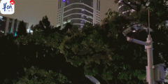 广东不少地方已出现“立