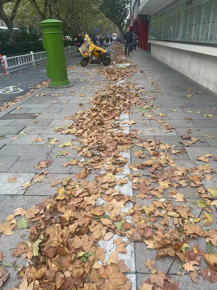 杭州发布低温报告:今天白天气温将持续下降 你秋裤穿了吗?