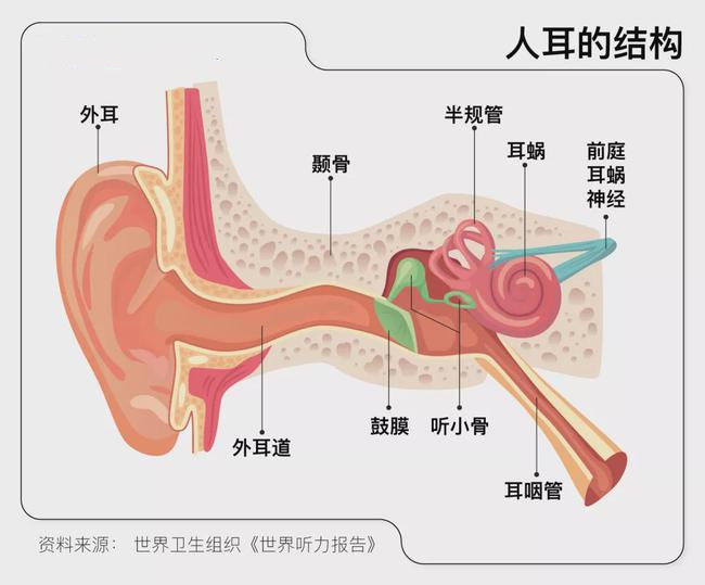 图片13.png