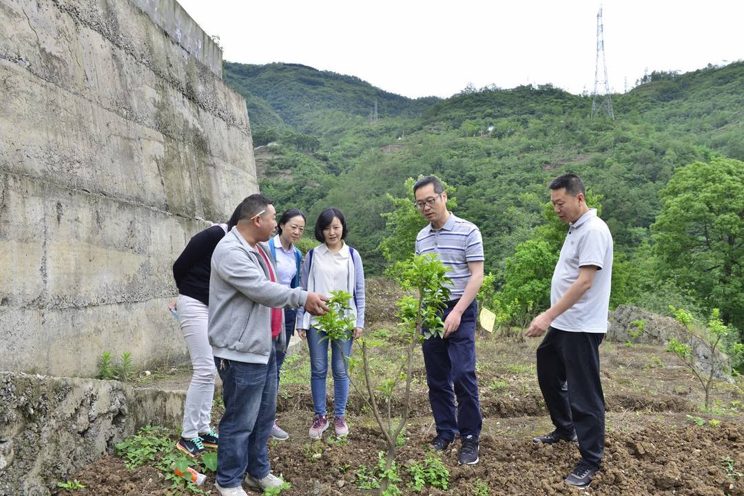 贷动小生意,服务大民生——交通银行四川省分行“金融为民”,让群众腰包“鼓起来”