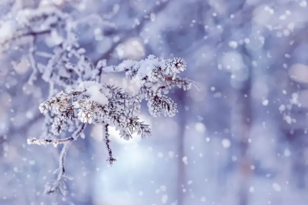 天气早知道丨今日小雪节气,“速冻”降温来临