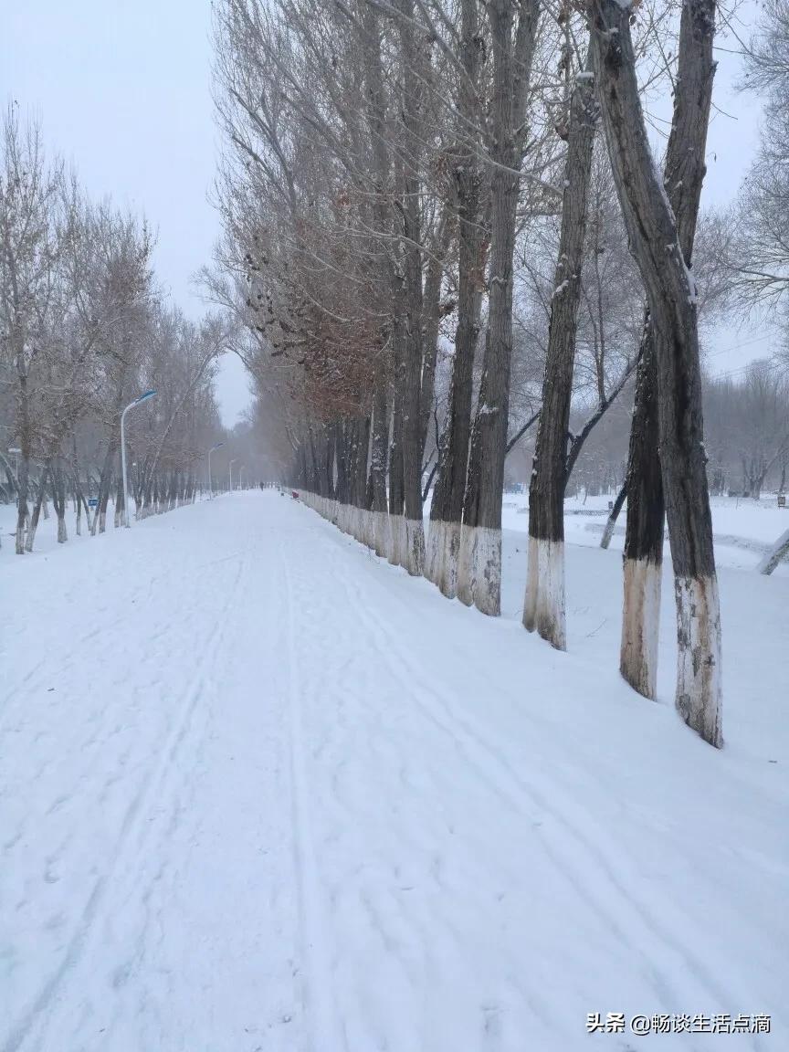 天气预报:今天是小雪节气,晴天好?还是雨雪好?农谚早有预兆