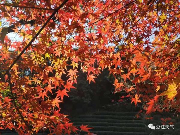 接下来的天气,简直让人受宠若惊!但是注意点也不少……