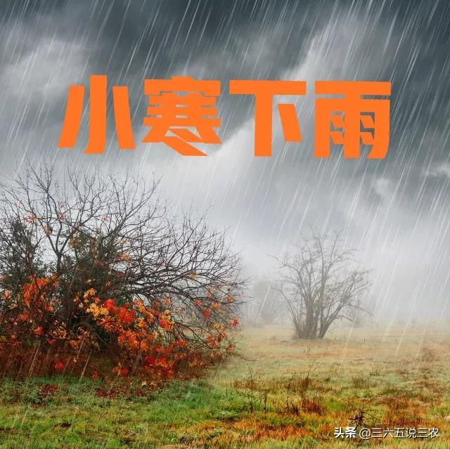 天气预报：今日小寒，下雨天，有啥说法？农谚能预兆，看看咋说