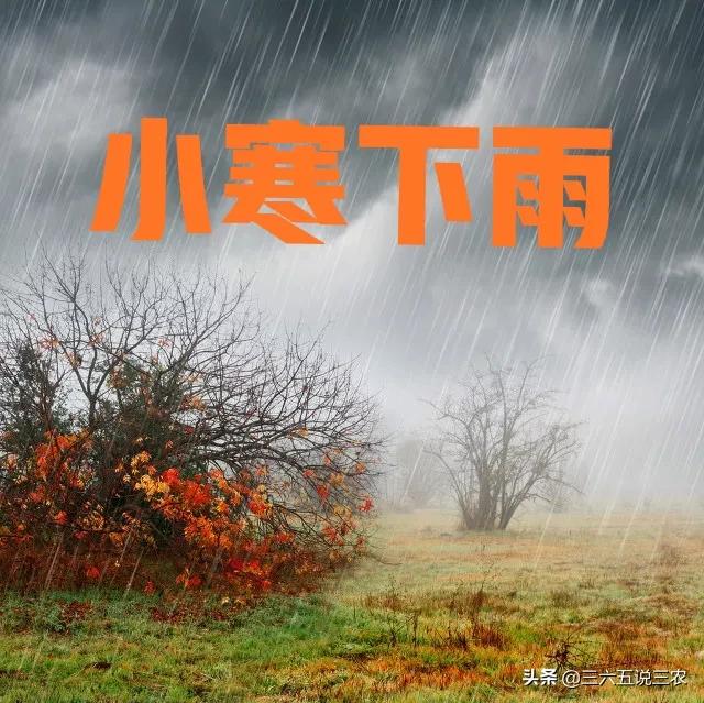 天气预报:今日小寒,下雨天,有啥说法?农谚能预兆,看看咋说