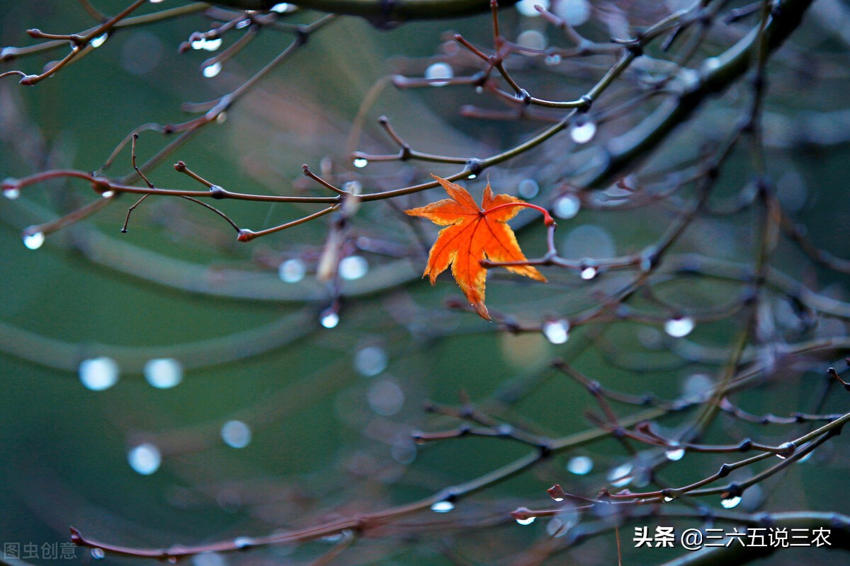 天气预报:今日小寒,下雨天,有啥说法?农谚能预兆,看看咋说