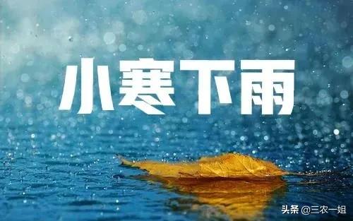 天气预报:今日小寒雨蒙蒙,小寒下雨有什么预兆?看农村俗语咋说