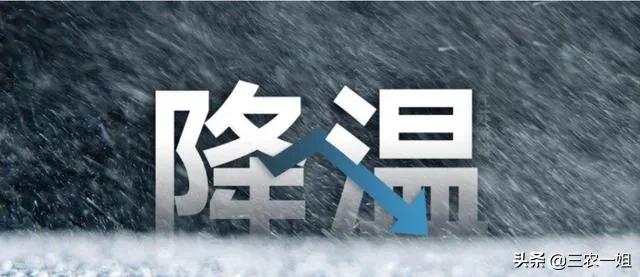 天气预报:大范围雨雪来袭,寒冬来了,春节会冷到哭?看农谚咋说