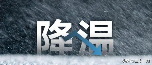 天气预报：大范围雨雪来袭，寒冬来了，春节会冷到哭？看农谚咋说