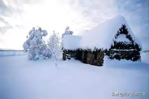 天气预报：腊月出现“雷打雪”天气，有啥预兆？看看老祖宗怎么说