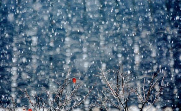 未来两天阴雨天气持续~局地有雨雪,请注意交通安全
