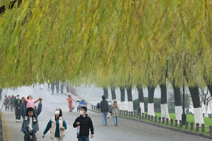 预报最新调整，说好的雨变弱了，气温起伏不大，阳光重现在这一天