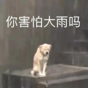 今年以来影响范围最广的