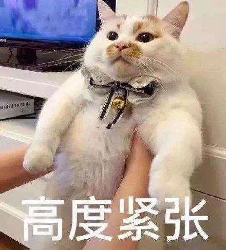 雪雪雪+冷冷冷!河北大范围雨雪天气来了……
