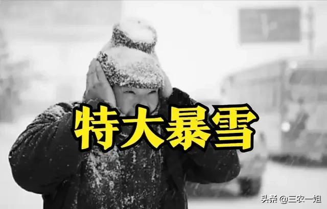 天气预报:今日大寒,霸王级特大暴雪来了,春节冷到哭?农谚咋说