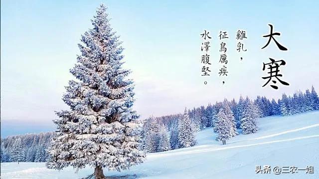 天气预报：今日大寒，霸王级特大暴雪来了，春节冷到哭？农谚咋说