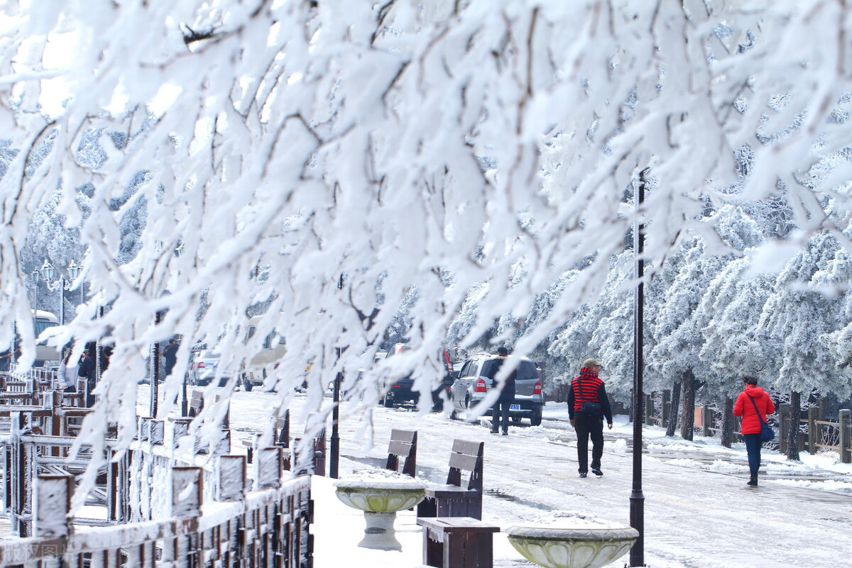 天气预报:河南多地下起“长粒”大雪,天上粮仓漏了,看农谚咋说