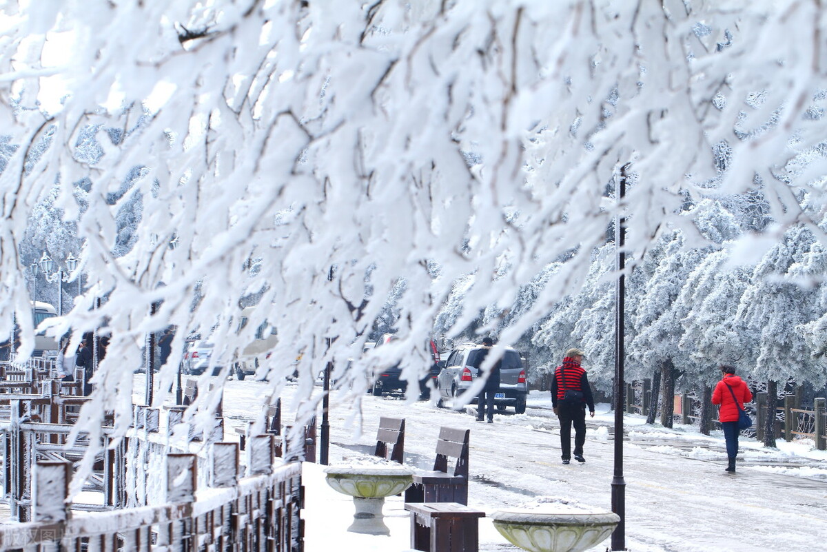 天气预报：河南多地下起“长粒”大雪，天上粮仓漏了，看农谚咋说