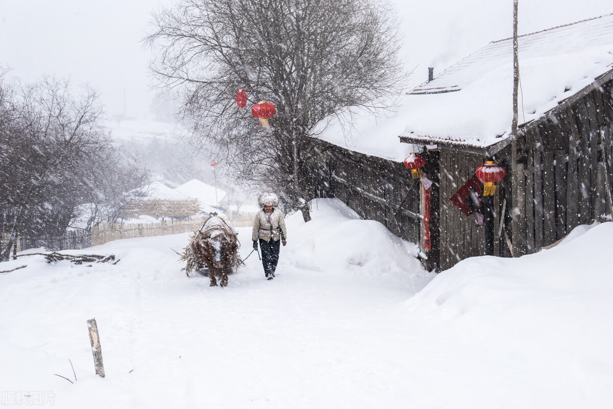 天气预报：河南多地下起“长粒”大雪，天上粮仓漏了，看农谚咋说