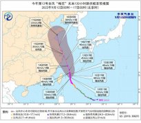 今年第12号台风“梅花”（