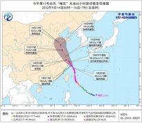 今年第12号台风“梅花”