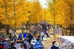 今起三天全国大部地区降