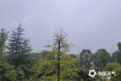 湖南省气象台预计，未来