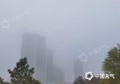 今天（11月8日），受新一