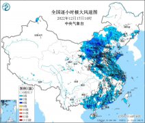 今天的风，大到我以为自