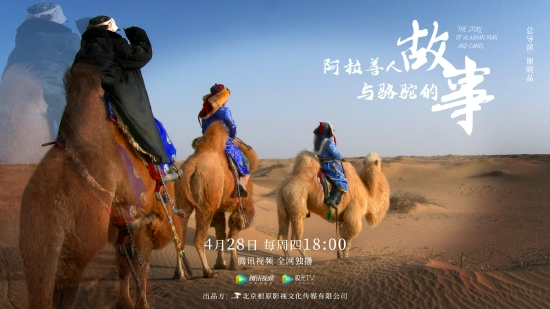 阿拉善人与骆驼的故事
