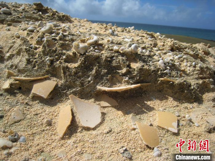 散布在马达加斯加海滩或埋藏沙丘中的象鸟蛋碎片(摄于2006-2007年)。 Gifford Miller 摄