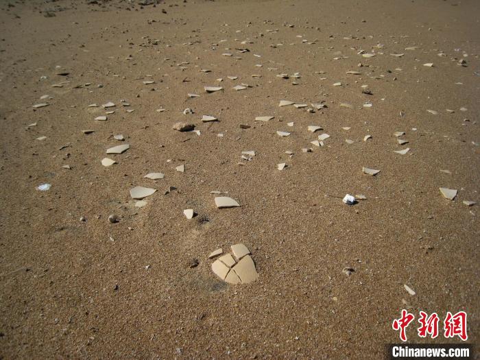 散布在马达加斯加海滩或埋藏沙丘中的象鸟蛋碎片(摄于2006-2007年)。 Gifford Miller 摄