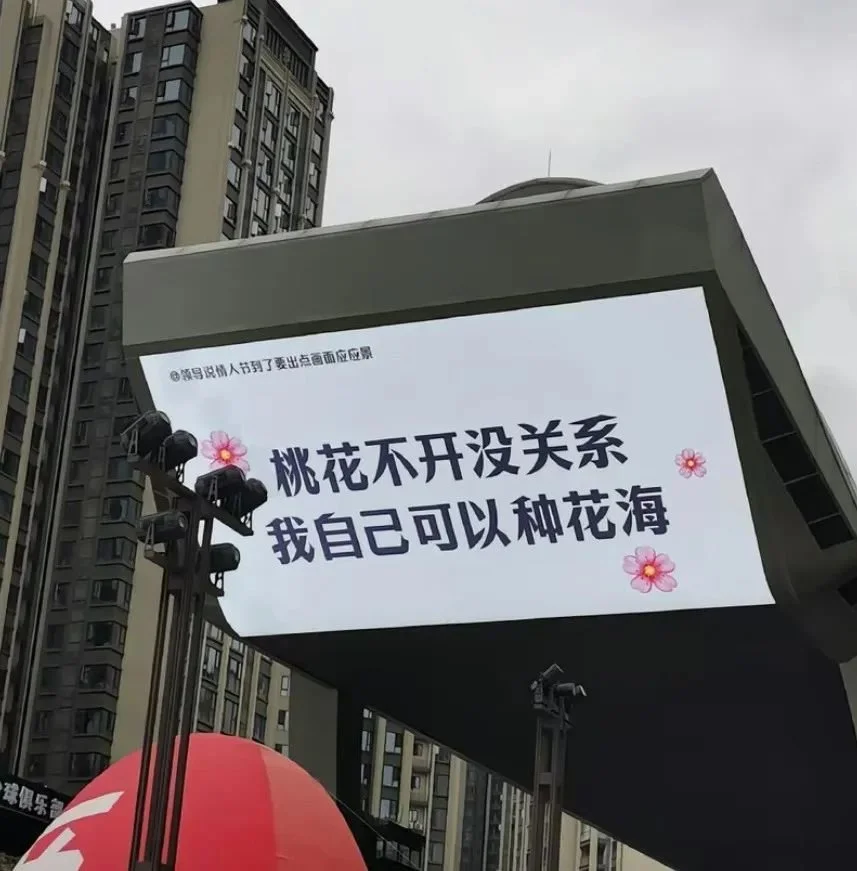 △花嘛，自己种，要多少有多少！/图源网络