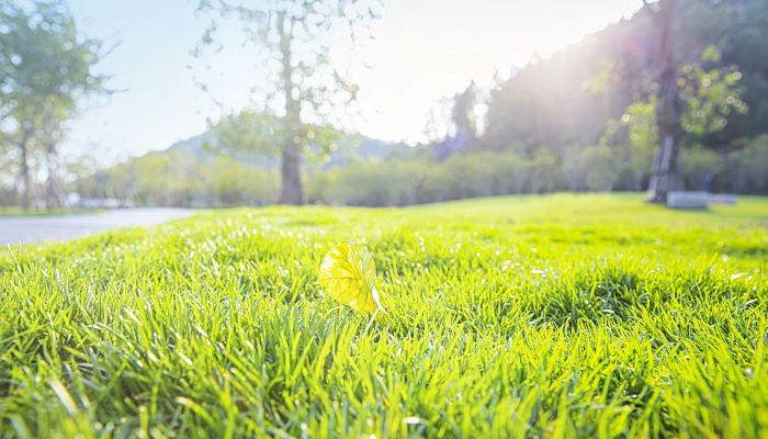 深圳今天晴天干燥气温17-26℃ 下周一再迎一波降温