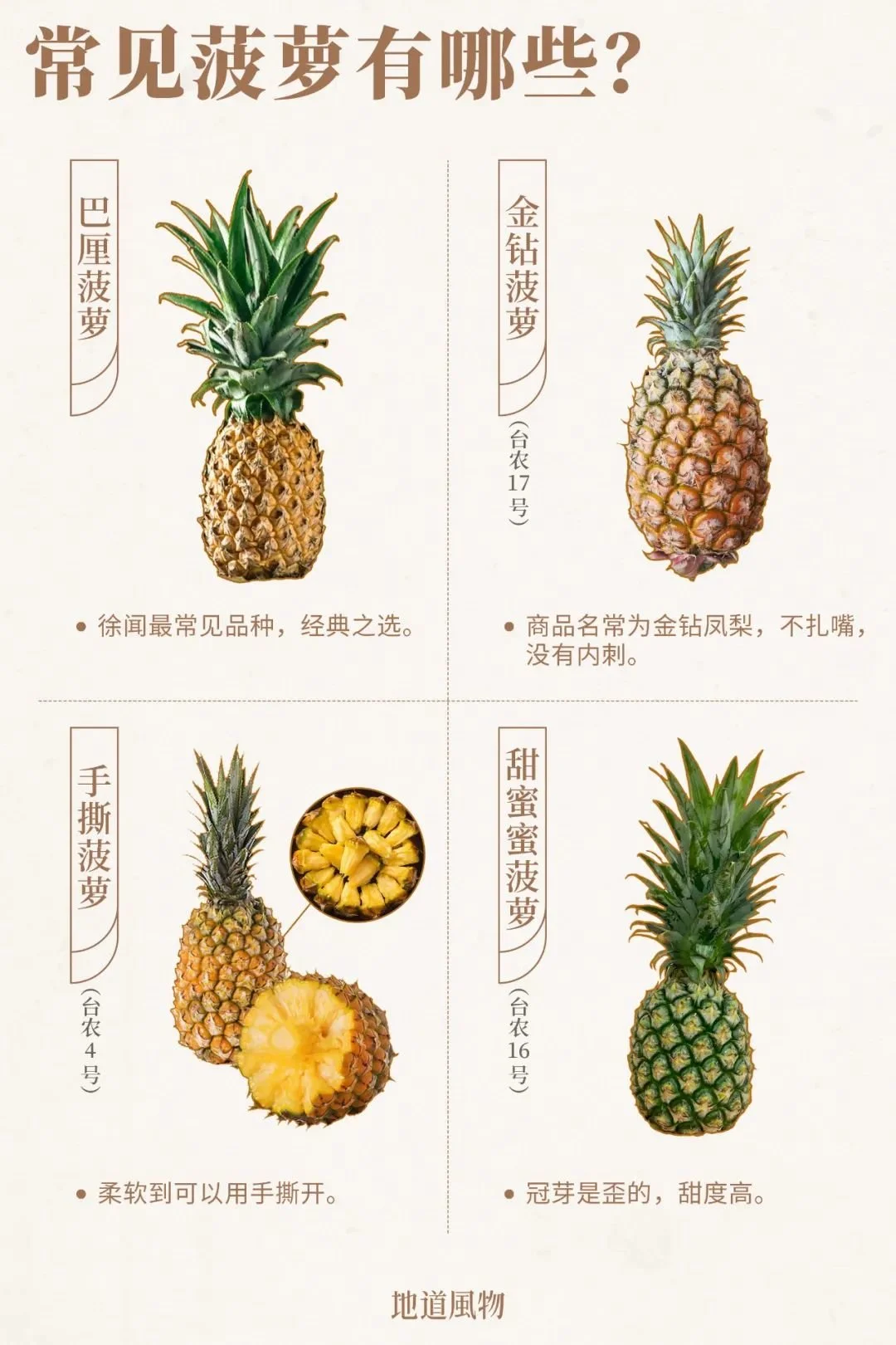 你大概已经知道凤梨就是菠萝，那么常见的菠萝有些种类呢？制图/任东