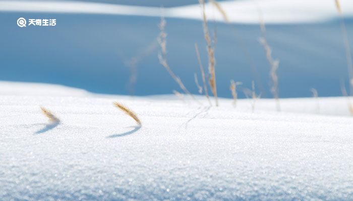 小雪节气的天气特点