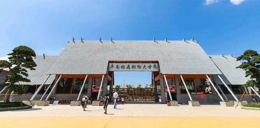 五一去哪玩?广西“小长卤竟拥有500头老虎,还能与萌物互动