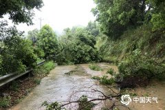 福建成全国强风雨中心