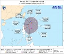 在24小时内加强为今年第