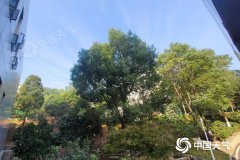 未来三天湖南阳光在线
